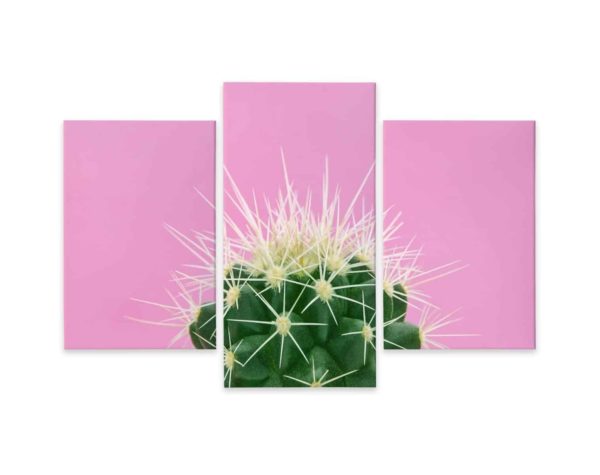 Obraz Wieloczęściowy Kaktus Na Różowym Tle
