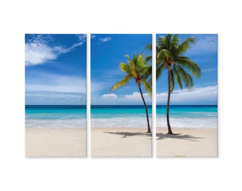Obraz Wieloczęściowy Karaibska Plaża 3D