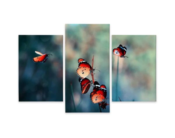Obraz Wieloczęściowy Kolorowe Motyle W Skali Makro