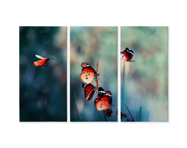 Obraz Wieloczęściowy Kolorowe Motyle W Skali Makro