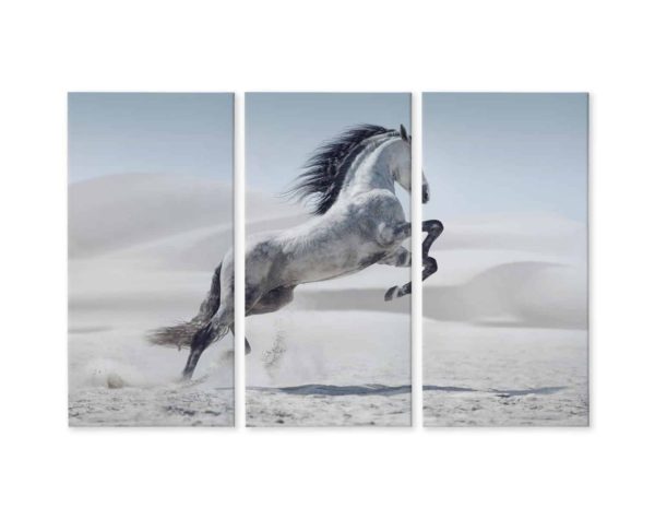 Obraz Wieloczęściowy Koń Na Pustyni 3D