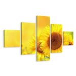 Obraz Wieloczęściowy Kwitnące Słoneczniki 3D