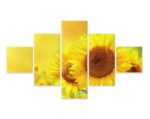 Obraz Wieloczęściowy Kwitnące Słoneczniki 3D