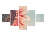 Obraz Wieloczęściowy Kwitnący Słonecznik W Skali Makro