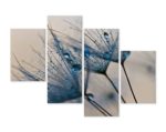 Obraz Wieloczęściowy Mlecze Z Kropelkami Wody W Skali Makro