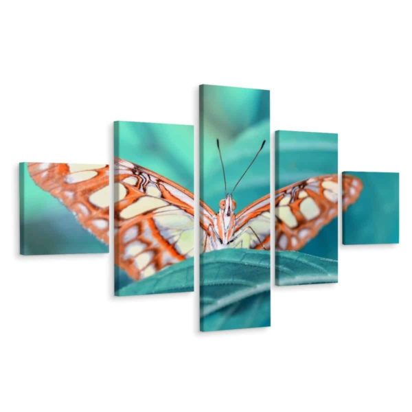 Obraz Wieloczęściowy Motyl Na Liściu W Skali Makro