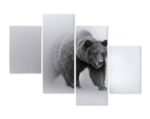 Obraz Wieloczęściowy Niedźwiedź We Mgle 3D