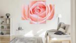 Obraz Wieloczęściowy Pastelowa Róża W Makroskali 3D