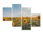 Obraz Wieloczęściowy Pole Słoneczników W Letni Dzień 3D