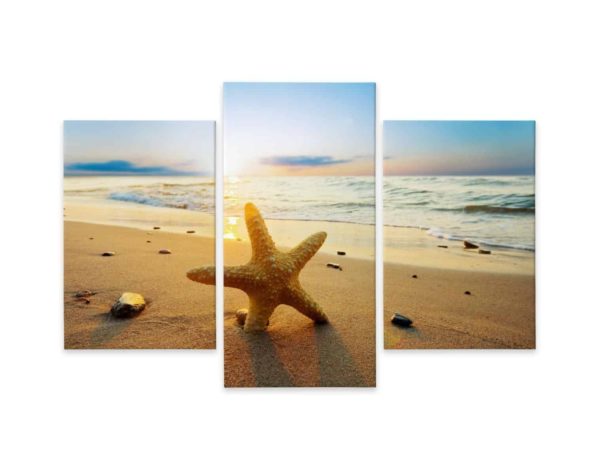 Obraz Wieloczęściowy Rozgwiazda Na Plaży 3D