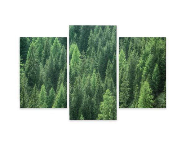 Obraz Wieloczęściowy Widok Zielonego Lasu 3D