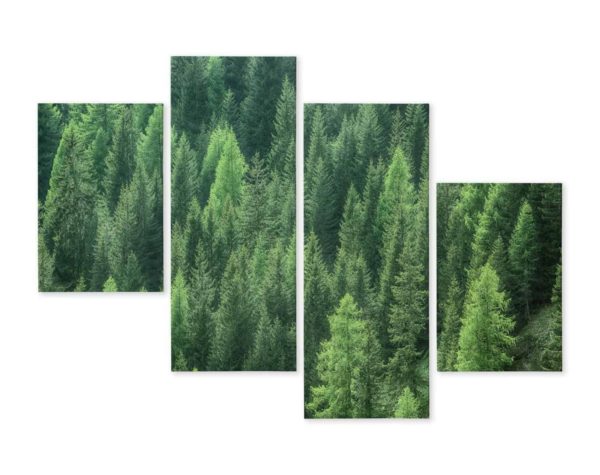 Obraz Wieloczęściowy Widok Zielonego Lasu 3D
