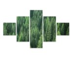 Obraz Wieloczęściowy Zielony Leśny Widok 3D