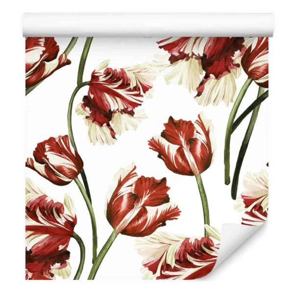 Tapeta Biało-Czerwone Tulipany