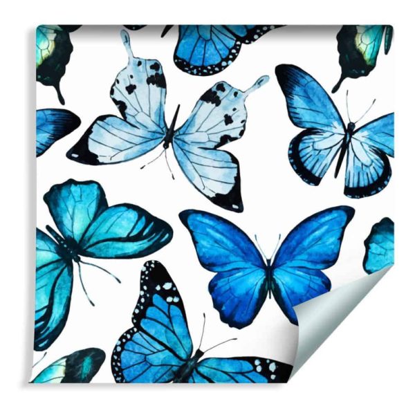 Tapeta Dla Dzieci Niebieskie Motyle Akwarela 3D