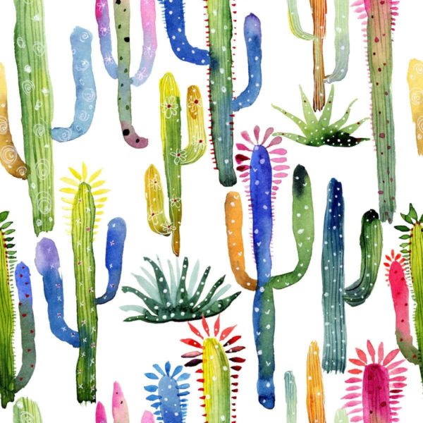 Tapeta Kolorowe Kaktusy