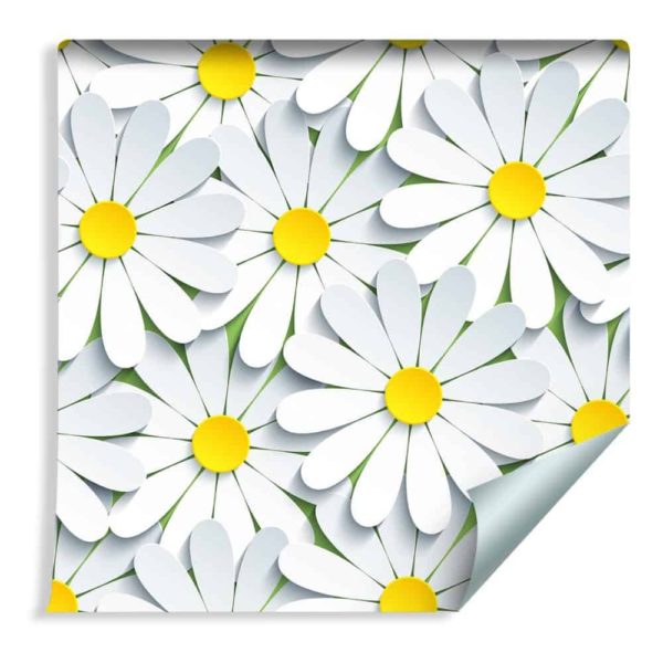 Tapeta Kwiaty - Rumianek 3D